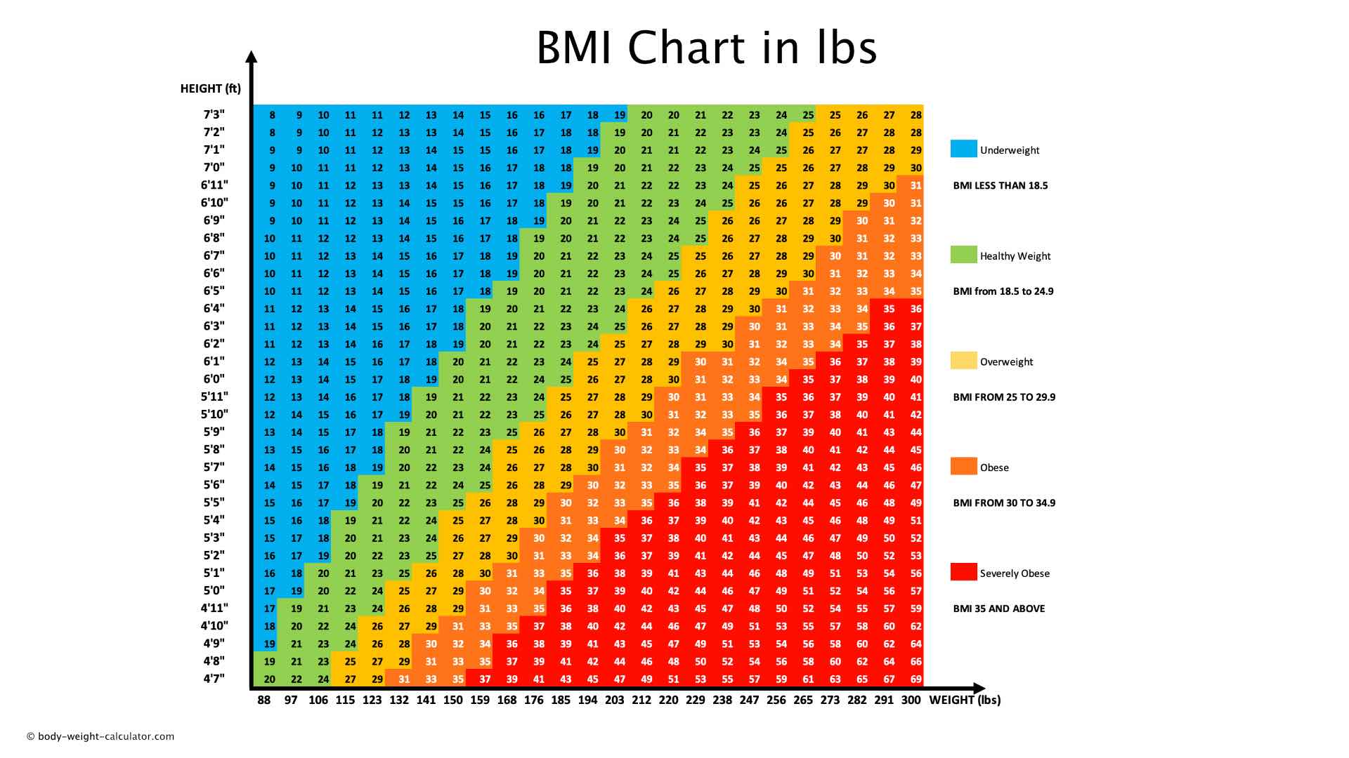 BMI chart by age in the United States